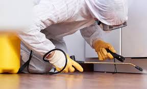 Best Termite Inspection and Treatment  in Omaha, TX